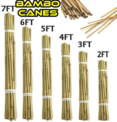 Bamboo garden cane thick - garden,