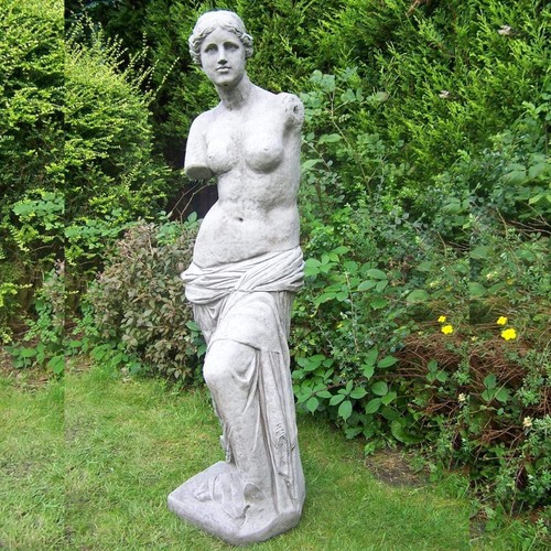 Very large venus - large,