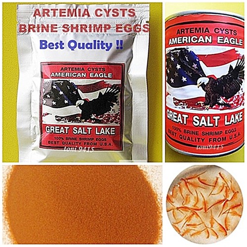 Quality brine shrimp - quality,