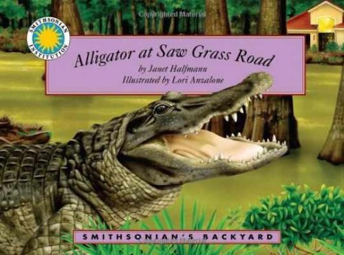 Alligator saw grass - at,