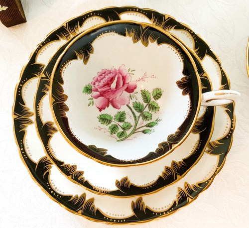 Rare vintage plant tuscan - rare,