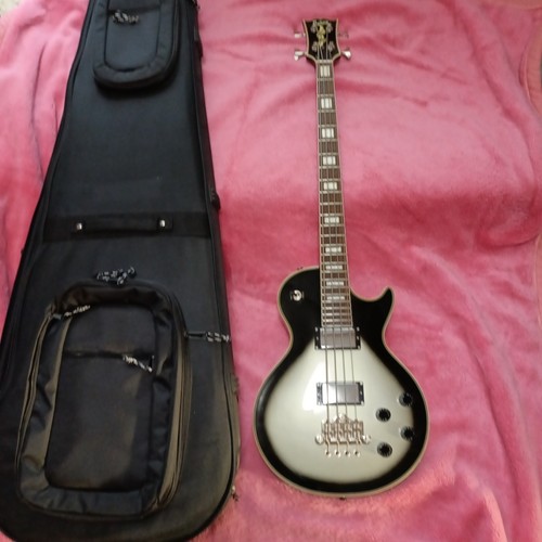 Burny lpb custom - burny,
