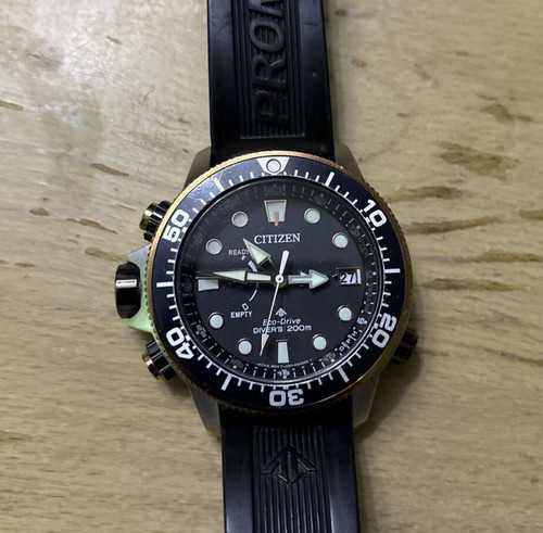 Citizen promaster bn2037 11e - promaster, bn2037-11e