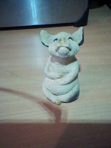 Leonardo collection pig - collection,