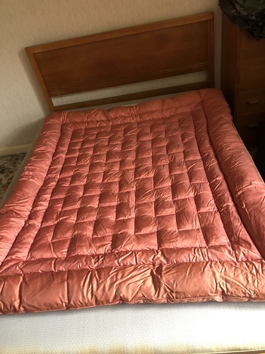 Vintage feather dark - , pink