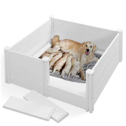 Dog whelping box - dog,