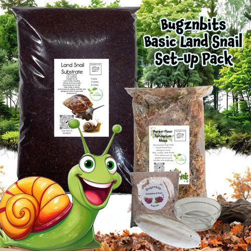 Bugznbits snail supply pack - supply,
