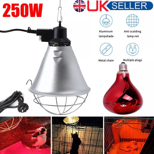 Infrared heat lamp - infrared, ruby