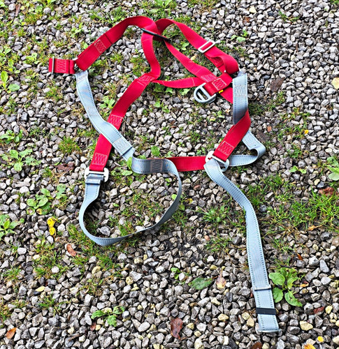 Loxam access full body - loxam, fall