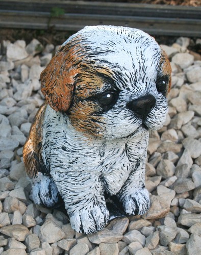 Shih tzu puppy - tzu,