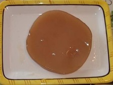 Fresh Organic Kombucha SCOBY &