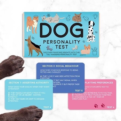 Dog personality test fun - dog,
