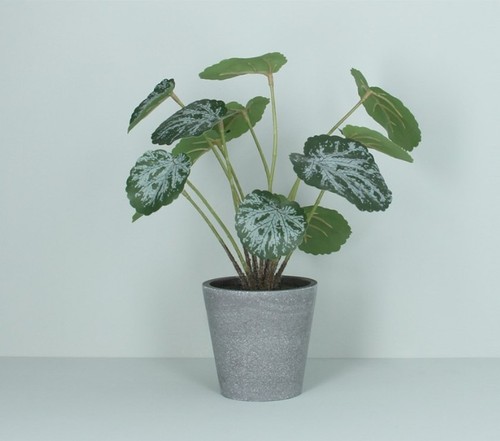 Gisela graham faux potted - gisela,