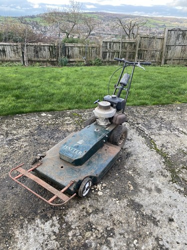 Hayter osprey rough cut - hayter,