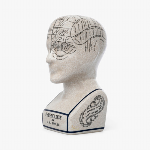Phrenology head n - head, 9"