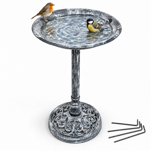 Outdoor garden bird - outdoor,