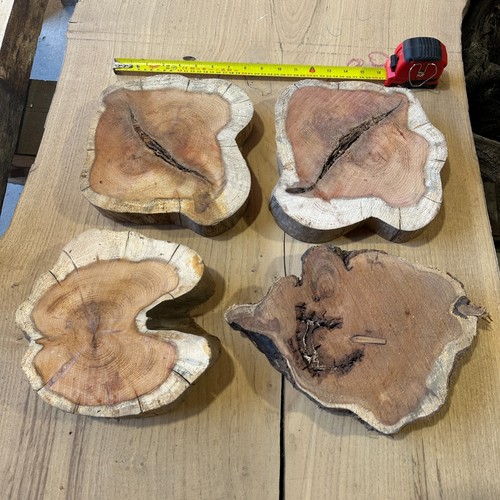 Large yew cookies - yew,
