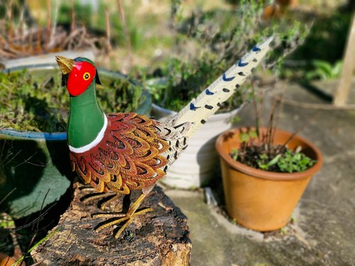 Pheasant garden sculpture - pheasant,