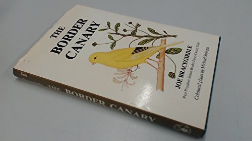 Border canary bracegirdle - border,