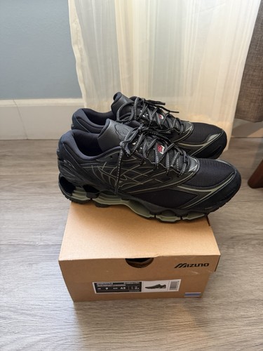 Mizuno wave prophecy - wave, la