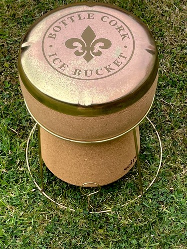 Champagne ice bucket bottle - ice,