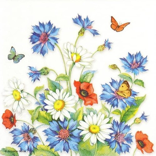 Single paper napkins - 4x,