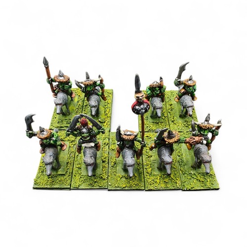 Goblin wolf riders painted - goblin,