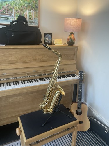 Trevor james alto saxophone - trevor, saxophone-