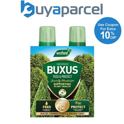 Westland buxus 1 - westland,