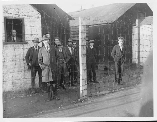 Inspection royal irish - inspection,