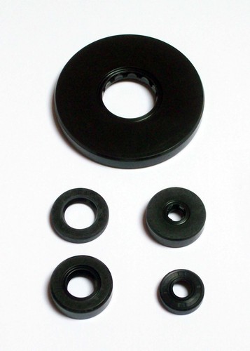 Motor seal ring set - seal, oil
