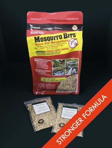 Mosquito bits fungus gnat - bits,
