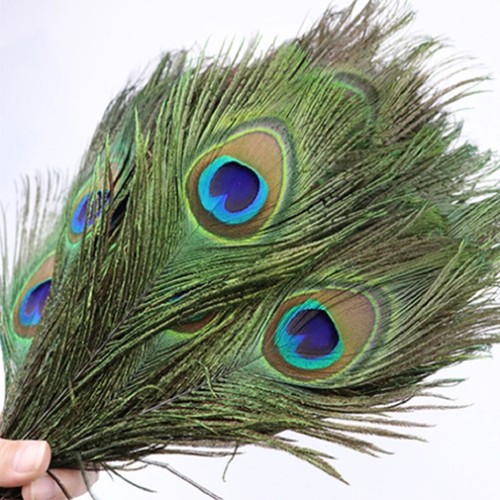 Peacock tail feathers 30cm - peacock,