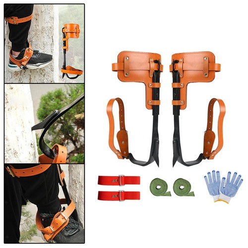 Tree climbing spike - climbing, with