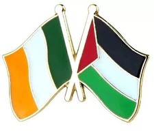 Ireland Palestine Badge Flag Pin Enamel Irish Palestinian