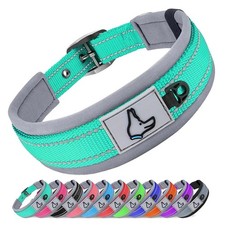 Padded Reflective Dog Collar