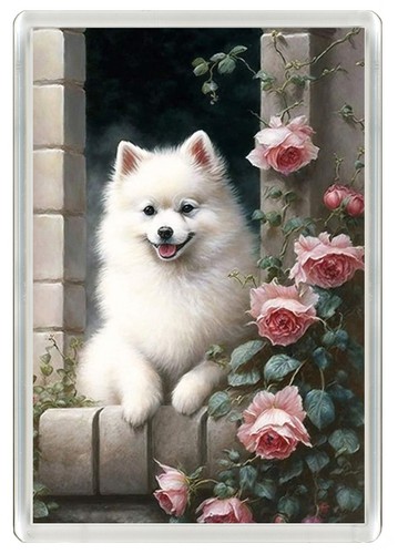 Pomeranian dog fridge magnet - fridge,
