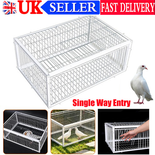 Pigeon trap cage portable - cage,