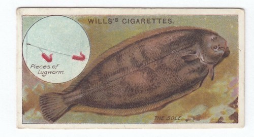 1910 fishing card - fish, the