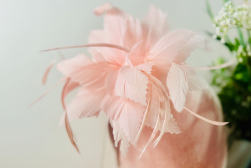 Elegant flower feather - flower,