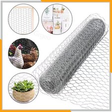 Galvanised Chicken Wire Mesh