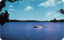 Greetings from Elk Rapids MI