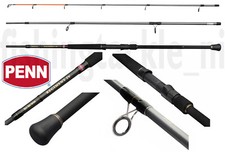 Penn Regiment IV Bass Spin 3pc Fishing Rods 2025 Model Spinning Rod Sea Lure