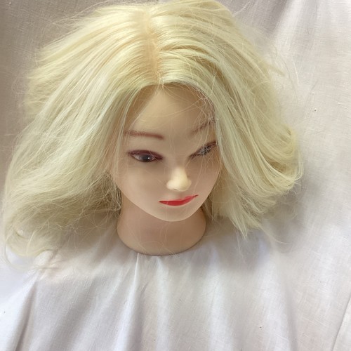 Female mannequin head - mannequin,