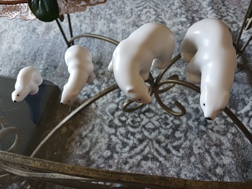 Arabia finland polar - polar, bears