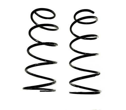 Rear coil spring - coil, pair