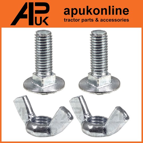 Coach bolt wing nut - wing, back