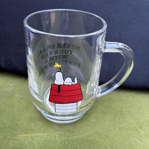 Vintage snoopy and woodstock - snoopy,