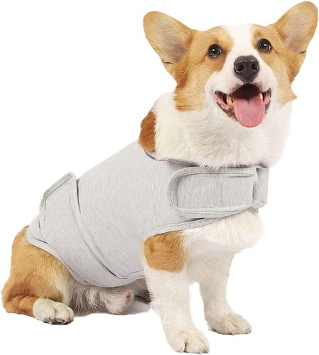 Dog vest - dog, shirt
