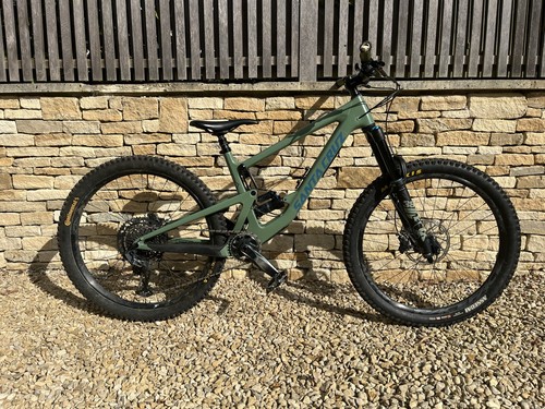 Santa cruz bronson - bronson, medium